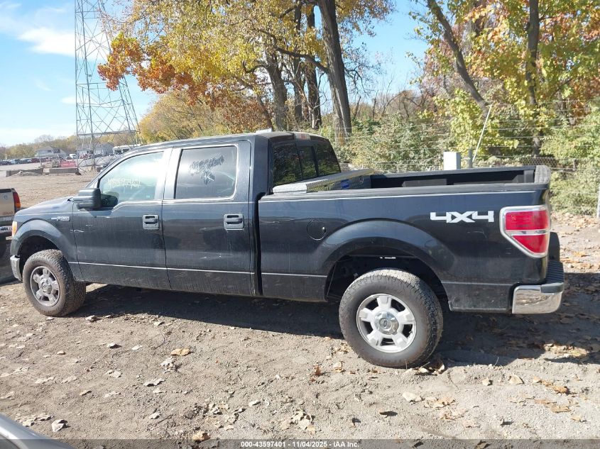 2014 Ford F-150 Xlt VIN: 1FTFW1EF8EKG13801 Lot: 43597401