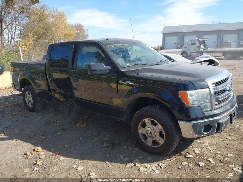 2014 Ford F-150 Xlt VIN: 1FTFW1EF8EKG13801 Lot: 43597401