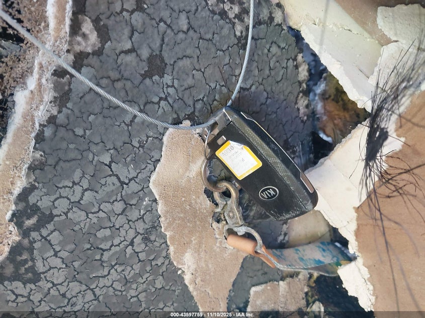 2020 Kia Sedona Ex VIN: KNDMB5C12L6645652 Lot: 43597759