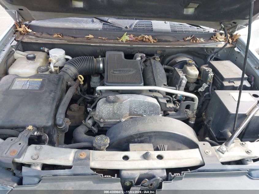 2007 Chevrolet Trailblazer Ls VIN: 1GNDS13SX72157023 Lot: 43598472