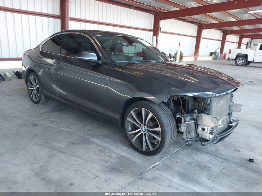 2016 BMW 228I - WBA1F9C51GV742187
