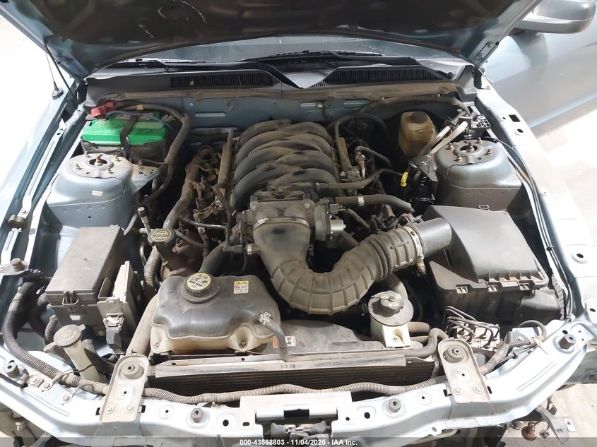 2006 Ford Mustang Gt VIN: 1ZVFT82H565117729 Lot: 43598803