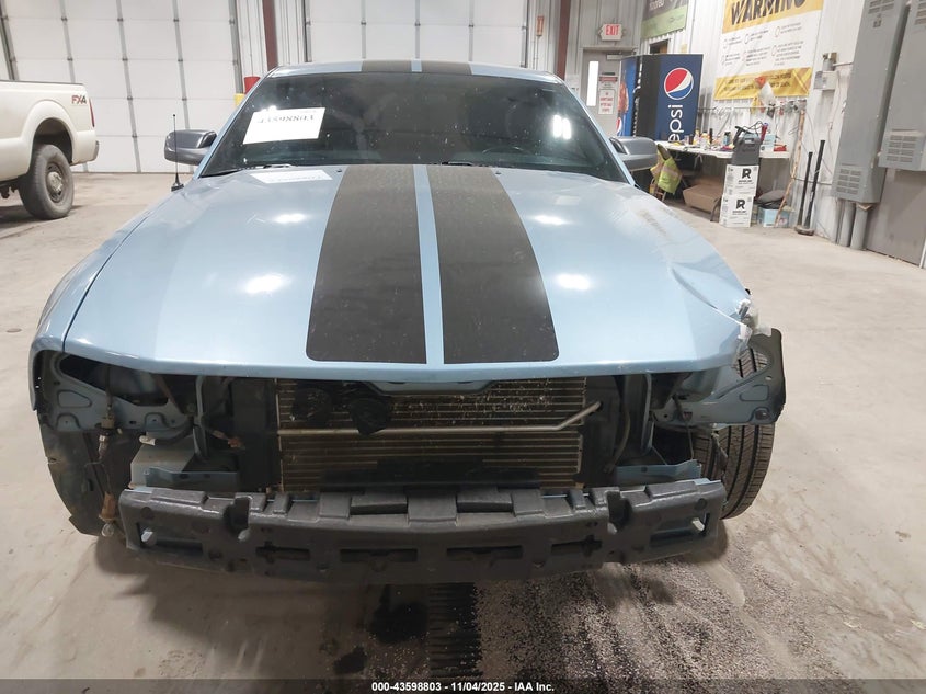 2006 Ford Mustang Gt VIN: 1ZVFT82H565117729 Lot: 43598803