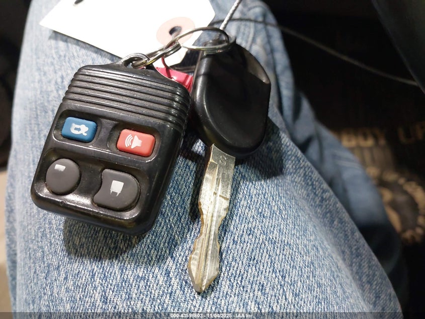 2006 Ford Mustang Gt VIN: 1ZVFT82H565117729 Lot: 43598803