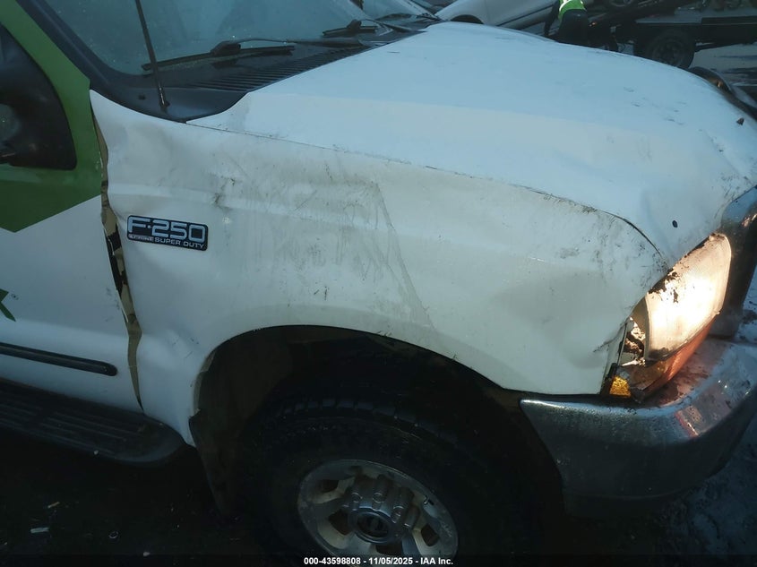 1999 Ford F-250 Lariat/Xl/Xlt VIN: 1FTNX21F1XEC92495 Lot: 43598808