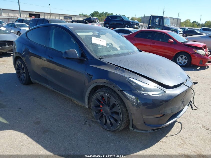 2024 Tesla Model Y