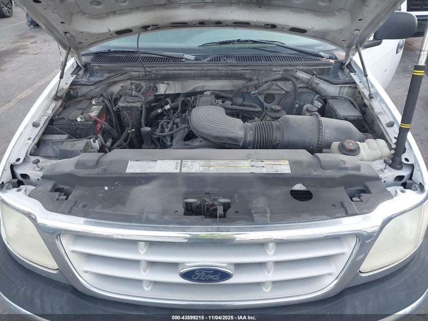 1999 Ford F-250 Work Series/Xl VIN: 1FTPF27M8XKA76839 Lot: 43599215