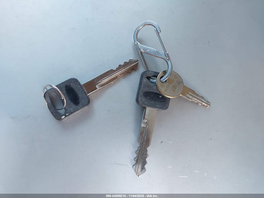 1999 Ford F-250 Work Series/Xl VIN: 1FTPF27M8XKA76839 Lot: 43599215