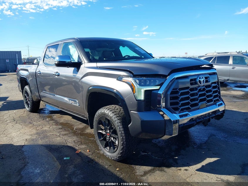 2024 TOYOTA TUNDRA 1794 EDITION - 5TFMA5EC3RX035019