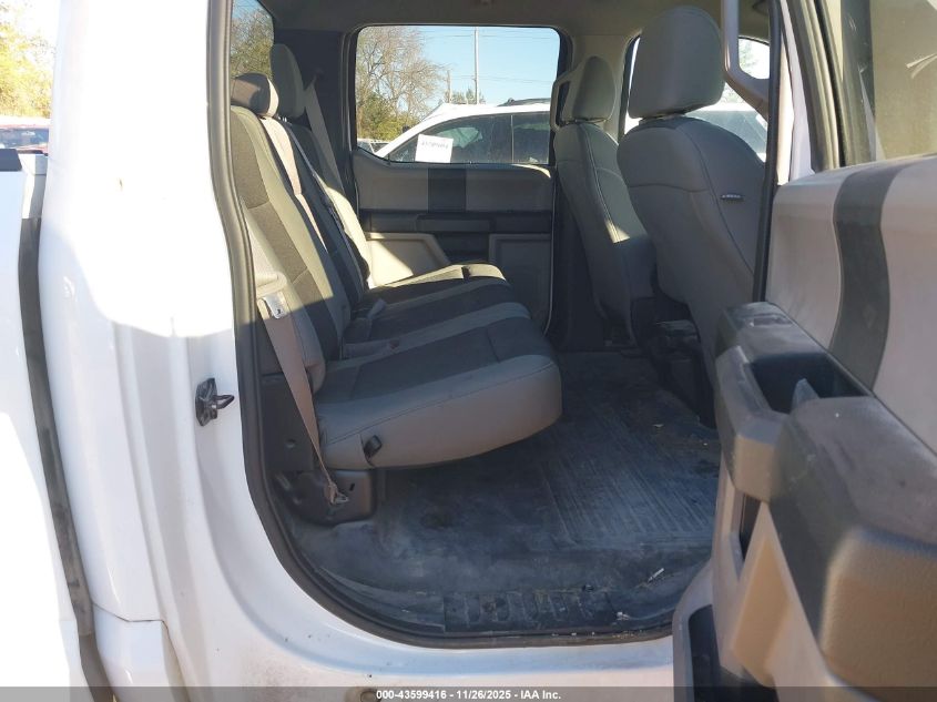 2020 Ford F-150 Xl VIN: 1FTFW1E52LFA29147 Lot: 43599416