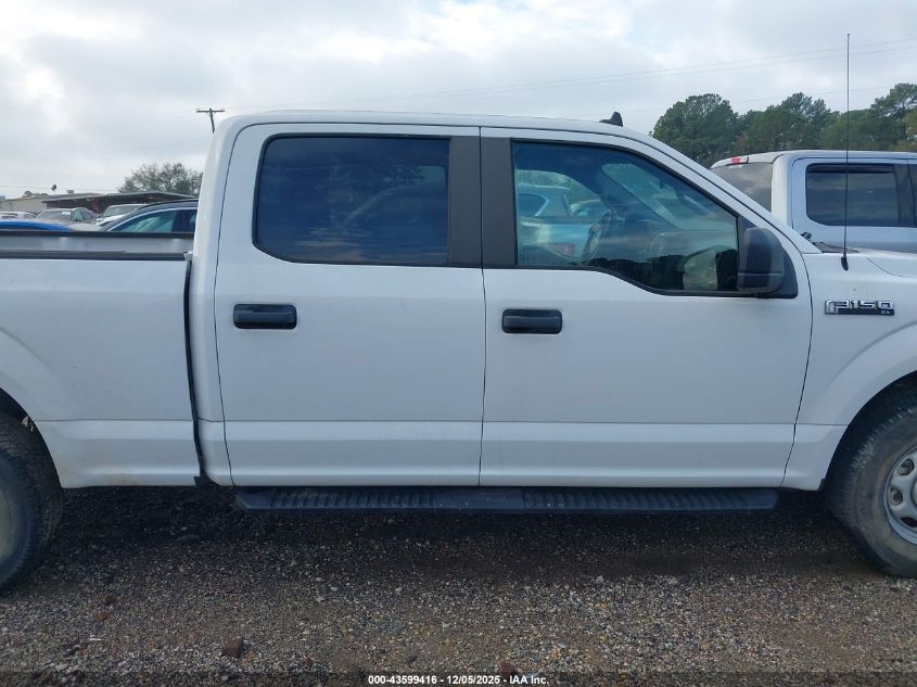 2020 Ford F-150 Xl VIN: 1FTFW1E52LFA29147 Lot: 43599416