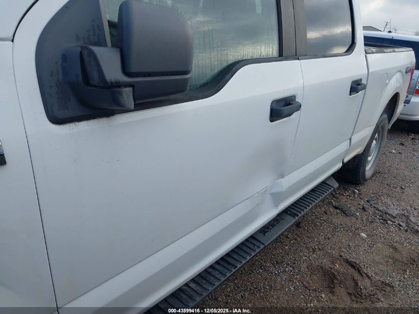 2020 Ford F-150 Xl VIN: 1FTFW1E52LFA29147 Lot: 43599416