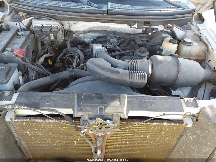 2007 Ford F-150 Fx2/Xlt VIN: 1FTRW12W17KD08113 Lot: 43600300