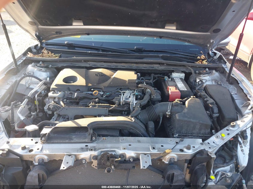 2019 TOYOTA CAMRY LE 4T1B11HK5KU251086