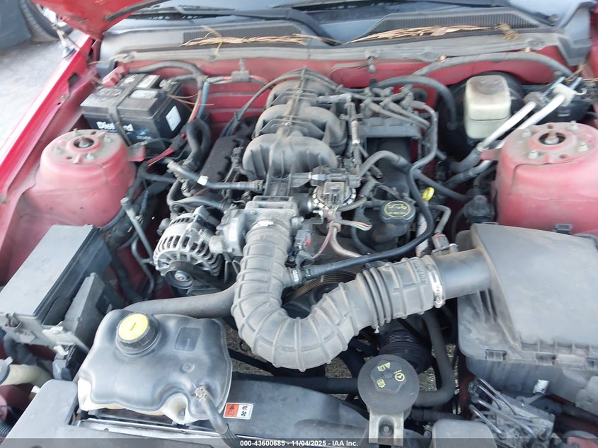 2007 Ford Mustang V6 Deluxe/V6 Premium VIN: 1ZVFT84NX75215787 Lot: 43600685