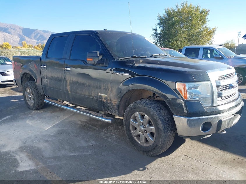 2014 FORD F-150 XLT - 1FTFW1ET3EKF83497
