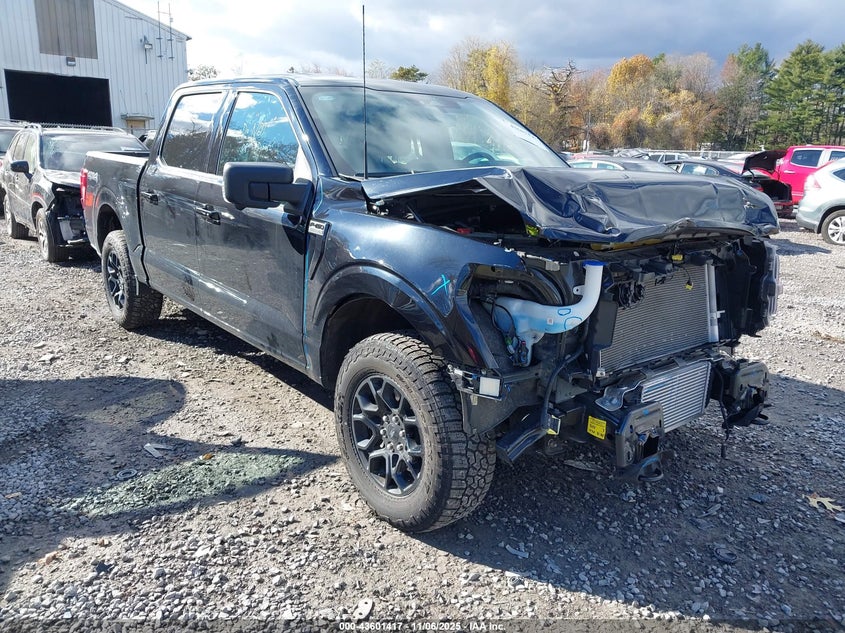 2024 FORD F-150 XLT - 1FTEW3LPXRKD79377
