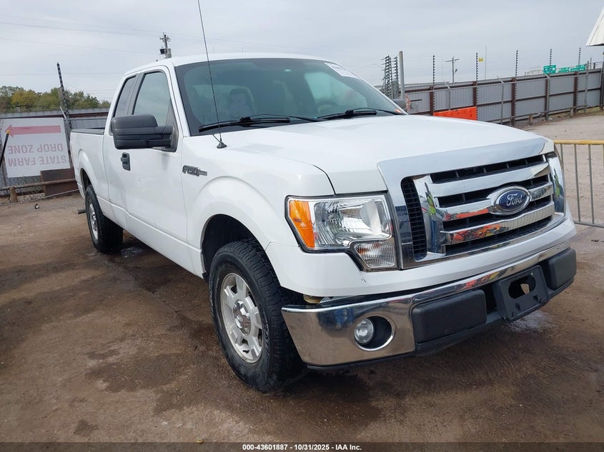 FORD F-150 XLT