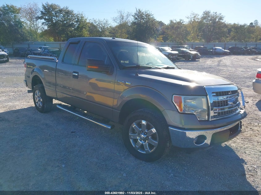 FORD F-150 XLT