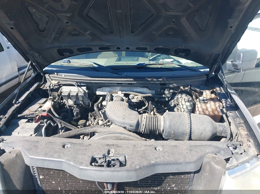 2006 Ford F-150 Xlt VIN: 1FTRW12W46KC98689 Lot: 43602416