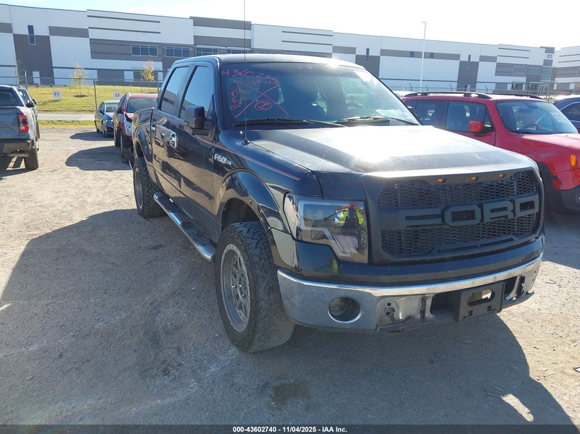 FORD F-150 XL/XLT
