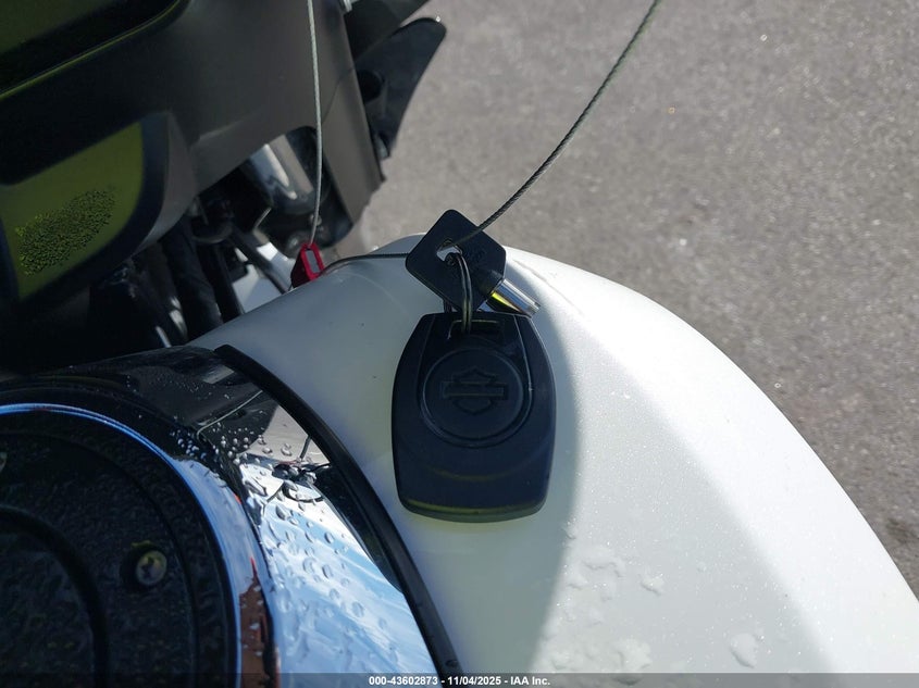 2024 Harley-Davidson Flhx VIN: 1HD1KB716RB608954 Lot: 43602873