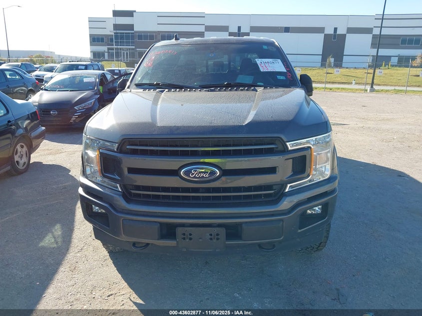 2019 Ford F-150 Xlt VIN: 1FTEW1E43KKD96454 Lot: 43602877