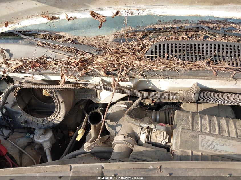 2017 GMC Savana Cutaway Work Van VIN: 7GZ37TCGXHN005436 Lot: 43603007