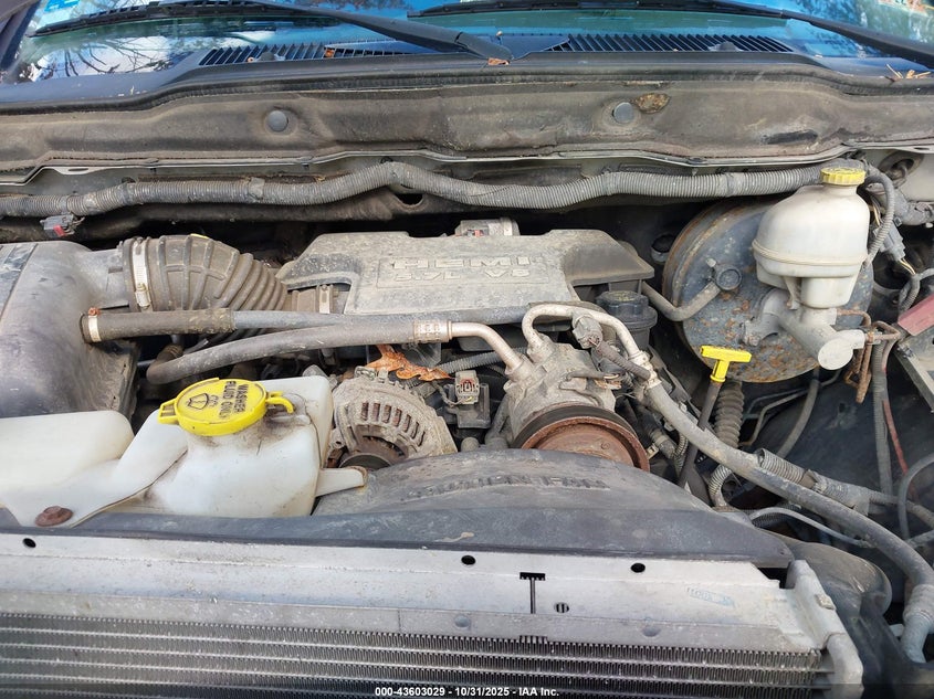 2007 Dodge Ram 1500 Slt/Trx4 Off Road/Sport VIN: 1D7HU18247S116955 Lot: 43603029