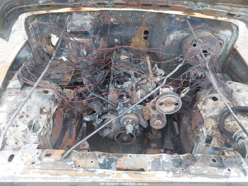 1997 Jeep Wrangler Se VIN: 1J4FY29P4VP542533 Lot: 43603219