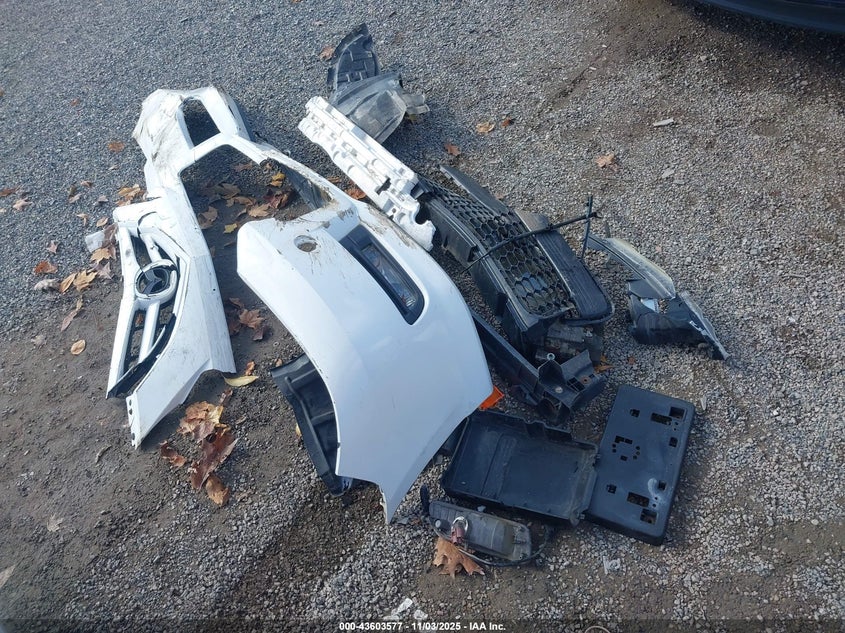 2009 Mazda Mazda3 S Sport VIN: JM1BK324791235426 Lot: 43603577