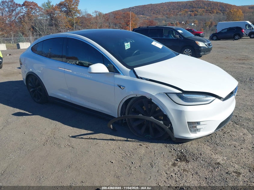 TESLA MODEL X 100D/75D/90D