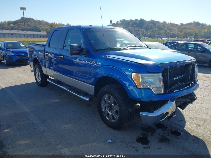 FORD F-150 FX4/HARLEY-DAVIDSON/KING RANCH/LARIAT/PLATINUM/XL/XLT