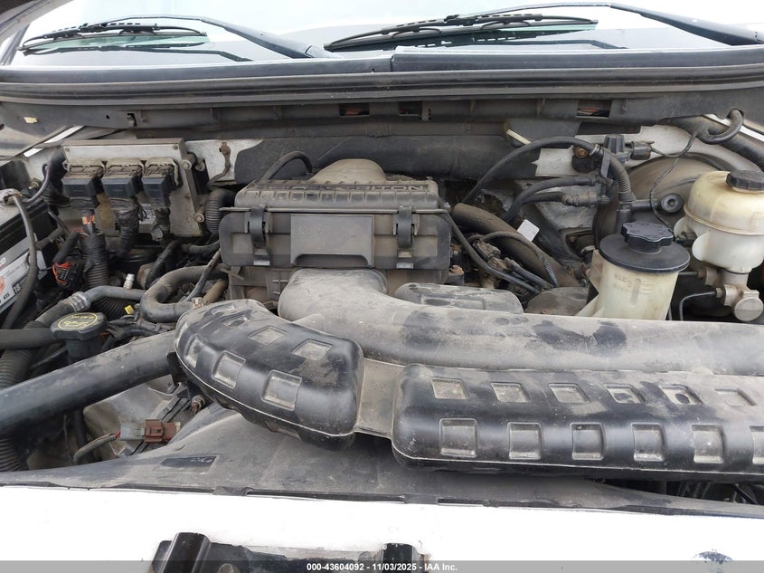 2008 Ford F-150 60Th Anniversary/Fx4/King Ranch/Lariat/Xlt VIN: 1FTPW14V38FC26745 Lot: 43604092