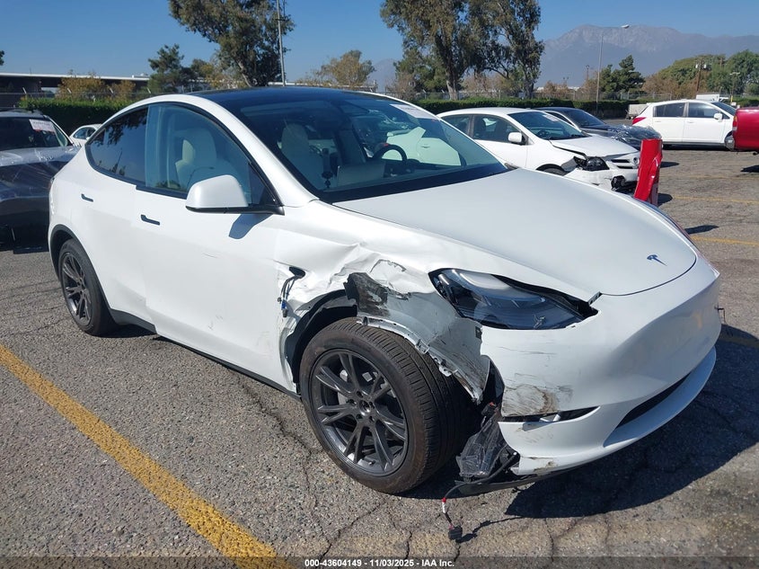 2025 TESLA MODEL Y LONG RANGE DUAL MOTOR REAR-WHEEL DRIVE - 7SAYGDED2SF228123