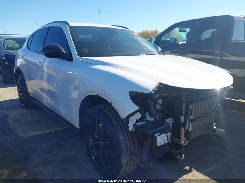 2019 ALFA ROMEO STELVIO RWD - ZASPAJAN6K7C68905