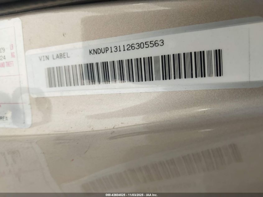 2002 Kia Sedona Ex/Lx VIN: KNDUP131126305563 Lot: 43604525