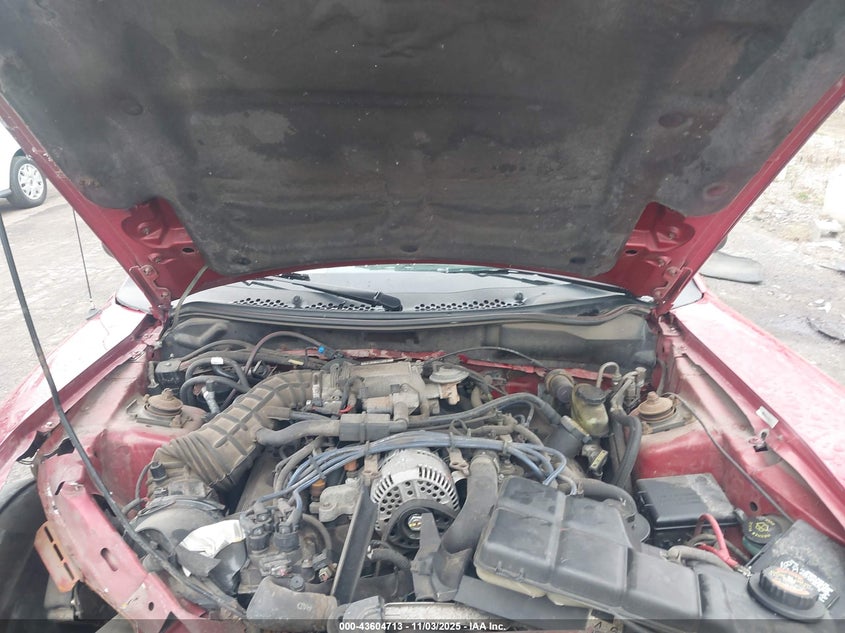 1998 Ford Mustang Gt VIN: 1FAFP42X0WF230723 Lot: 43604713