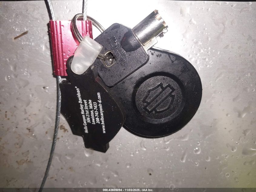 2021 Harley-Davidson Flhxs VIN: 1HD1KRP19MB663951 Lot: 43605094