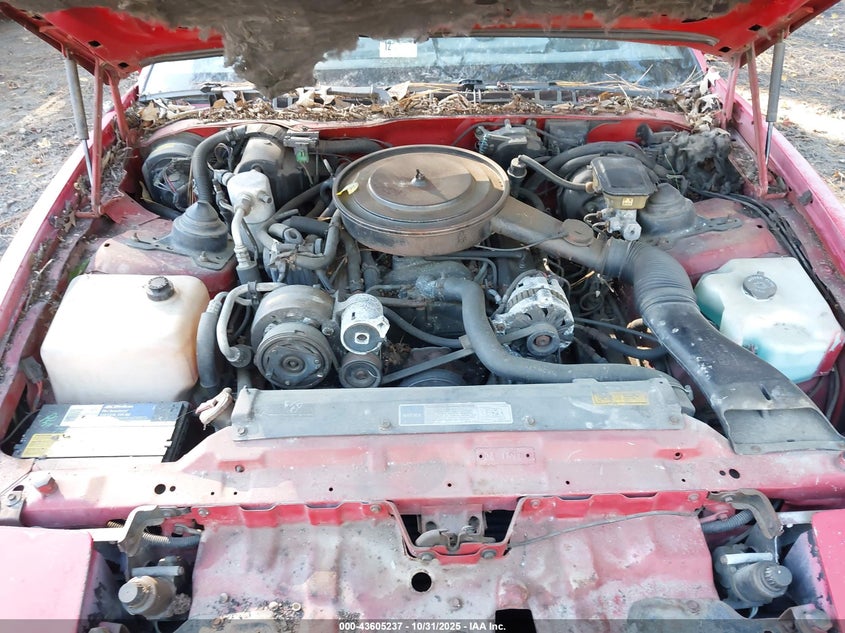 1991 Pontiac Firebird Formula VIN: 1G2FS23E5ML215809 Lot: 43605237