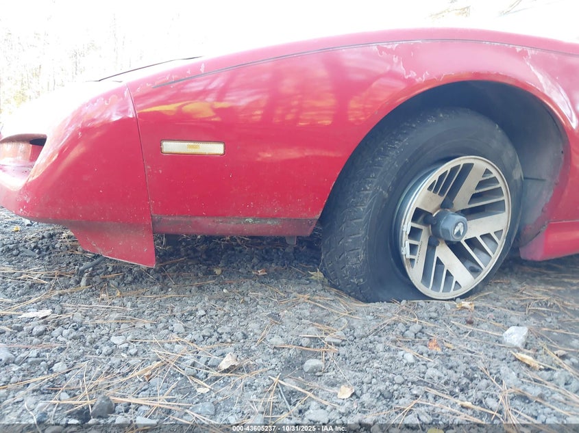 1991 Pontiac Firebird Formula VIN: 1G2FS23E5ML215809 Lot: 43605237