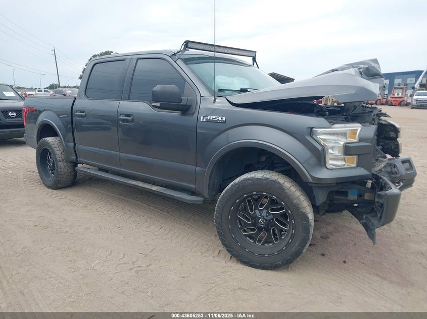 FORD F-150 XLT