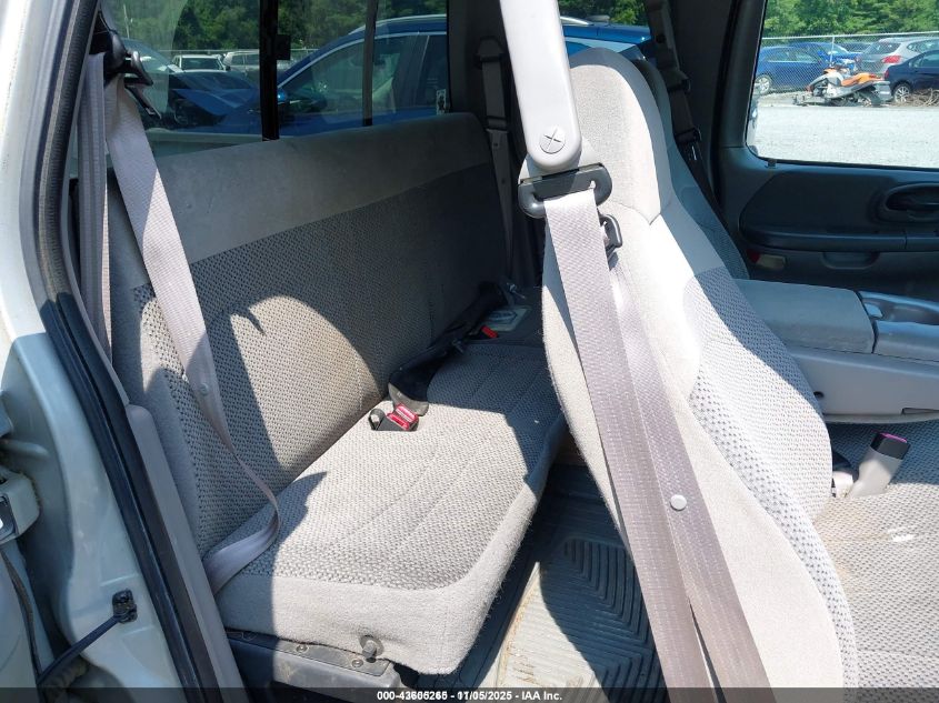 1999 Ford F-150 Work Series/Xl/Xlt VIN: 1FTZX1720XNB43768 Lot: 43605265