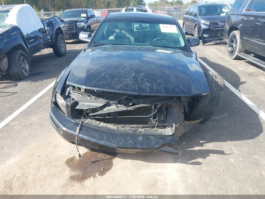 2006 Ford Mustang V6 VIN: 1ZVFT80N365231740 Lot: 43605711