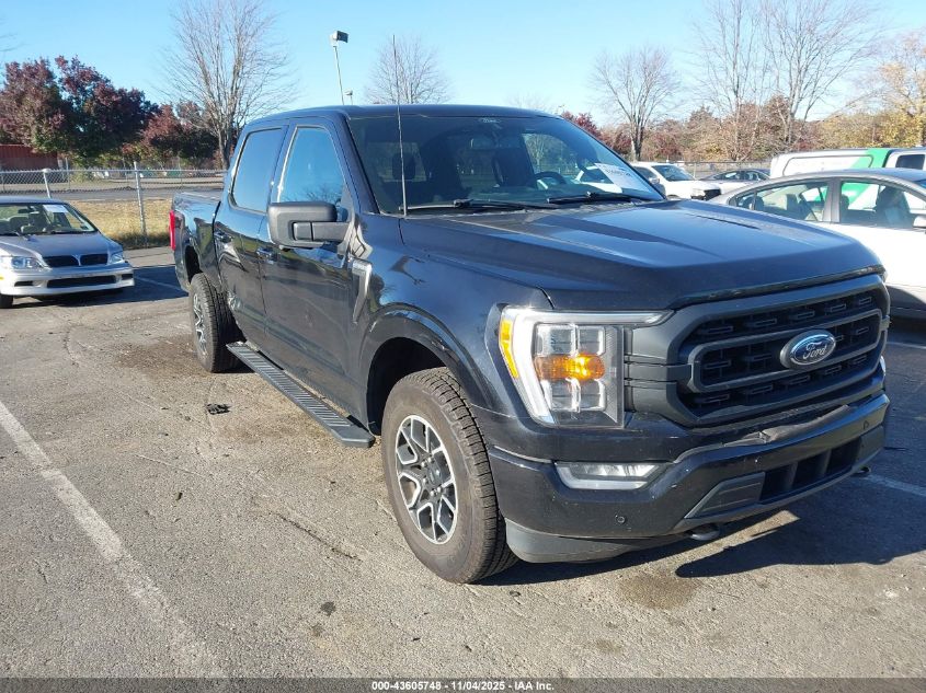 FORD F-150 XLT