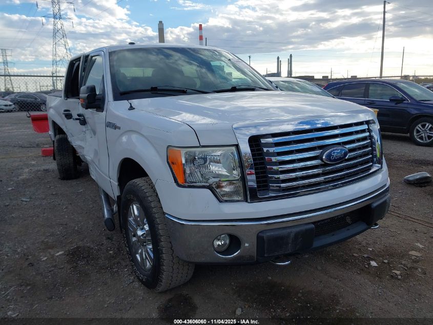 FORD F-150 FX4/HARLEY-DAVIDSON/KING RANCH/LARIAT/PLATINUM/XL/XLT