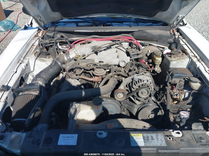 2003 Ford Mustang VIN: 1FAFP40423F437926 Lot: 43606078