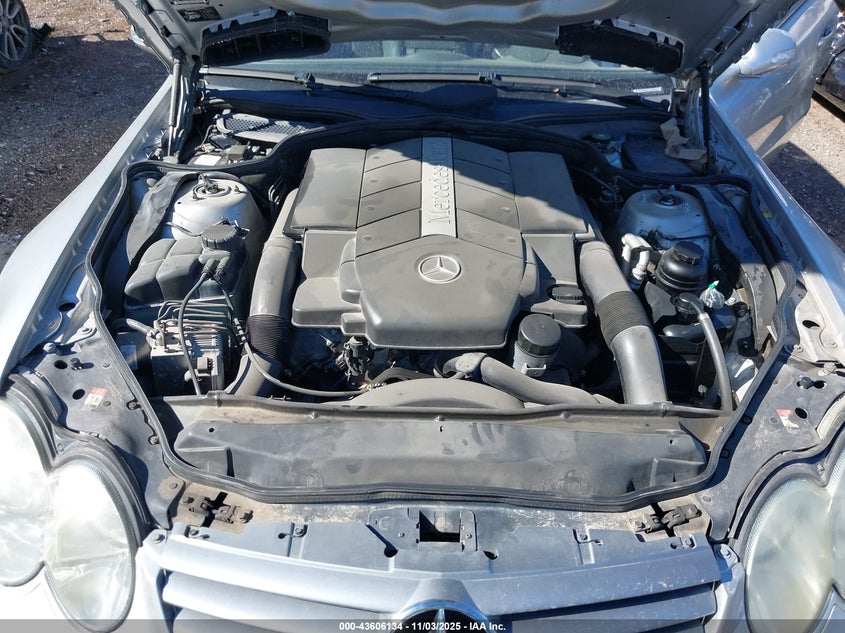 WDBSK75F33F002138 2003 MERCEDES-BENZ SL-KLASSE photo no. 10