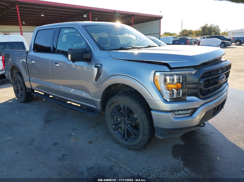 2021 FORD F-150 XLT - 1FTFW1ED8MFD00169
