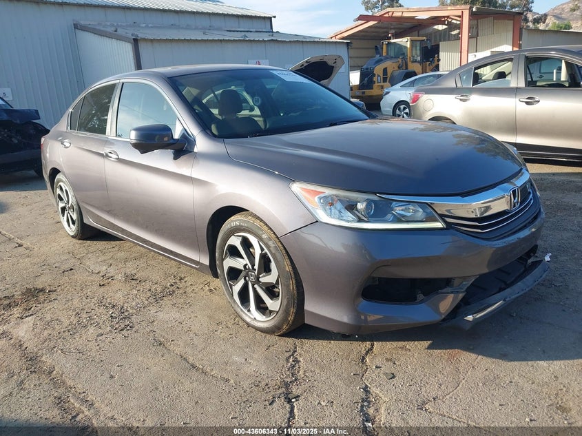 HONDA ACCORD EX